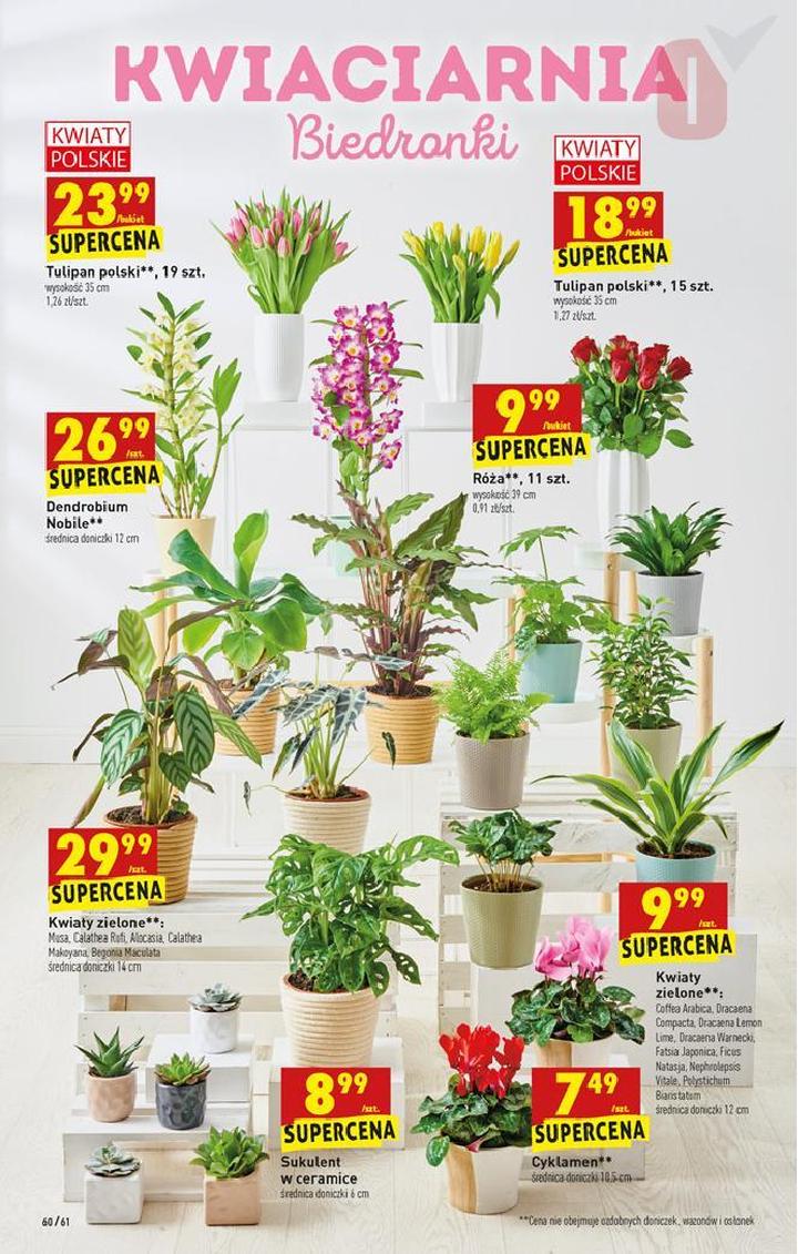 Kwiaty w Biedronce