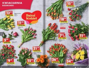Biedronka: Jakie Kwiaty Można Kupić W Supermarkecie Odkryj Kolorowy Świat Roślin