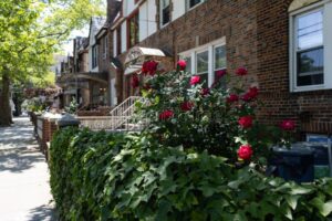 Rośliny do ogrodu – co posadzić przy chodniku do domu, by zachwycały?