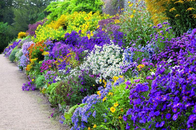 Kompozycje kwiatowe z astrów marcinków