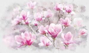 Kiedy magnolia kwitnie i dlaczego czasami nie zachwyca swym rozkwitem?