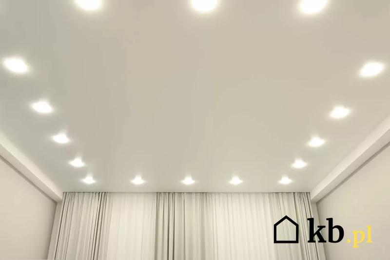 Rozmieszczenie halogenów ergonomia