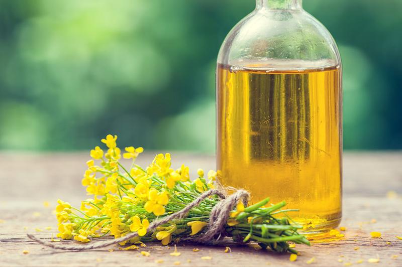 Różnorodność gatunków roślin