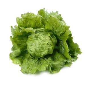 Kiedy i jak siać sałatę? Odkryj sprawdzone porady!