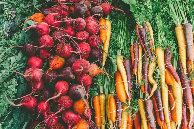 Rośliny alimentacyjne: odkryj ich znaczenie i różnorodność gatunków