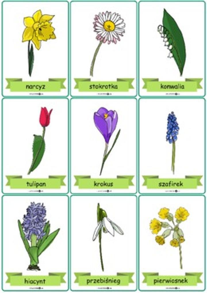 Aranżacja kwiatów w domu