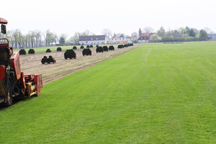 Efektywne metody siewu trawy