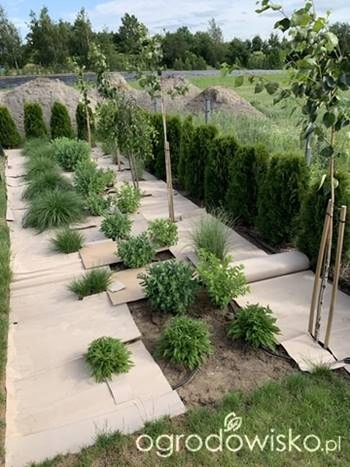 Karton a agrowłóknina