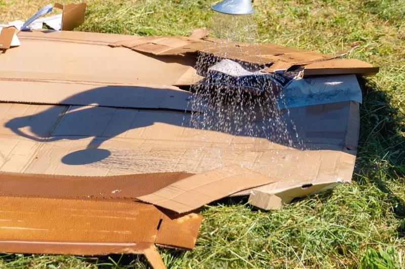 Karton w ogrodnictwie