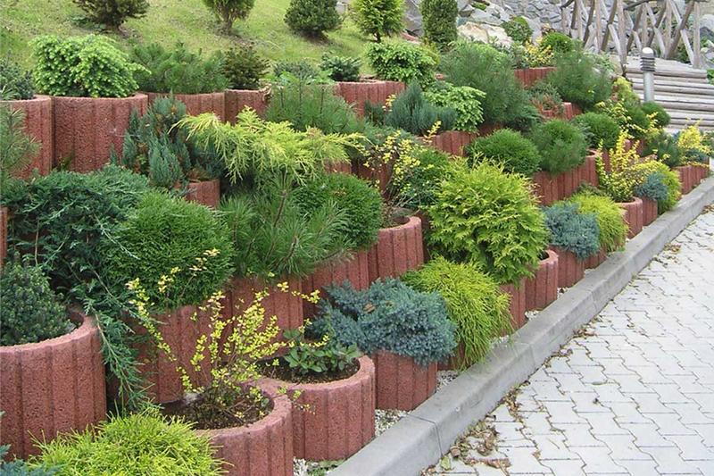 Kreatywne pomysły na ogród