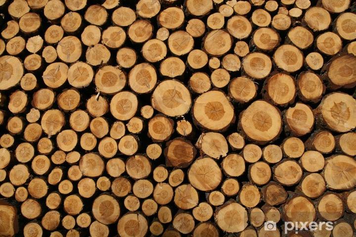 Meble ogrodowe z drewna