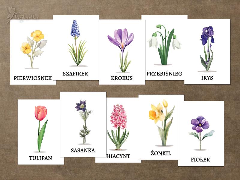 Pielęgnacja roślin wiosną