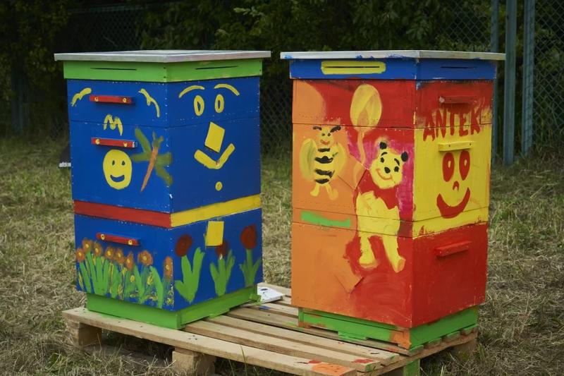 Przygotowanie drewna do malowania