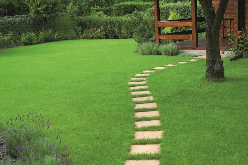 Przygotowanie gleby do siewu