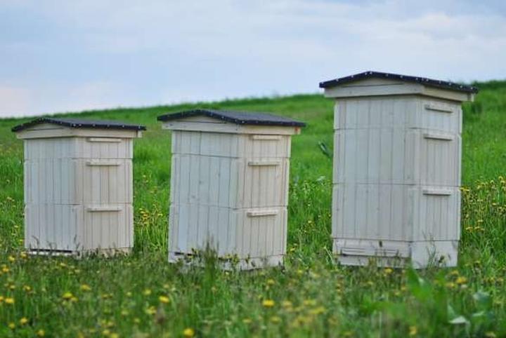 Techniki malarskie dla uli