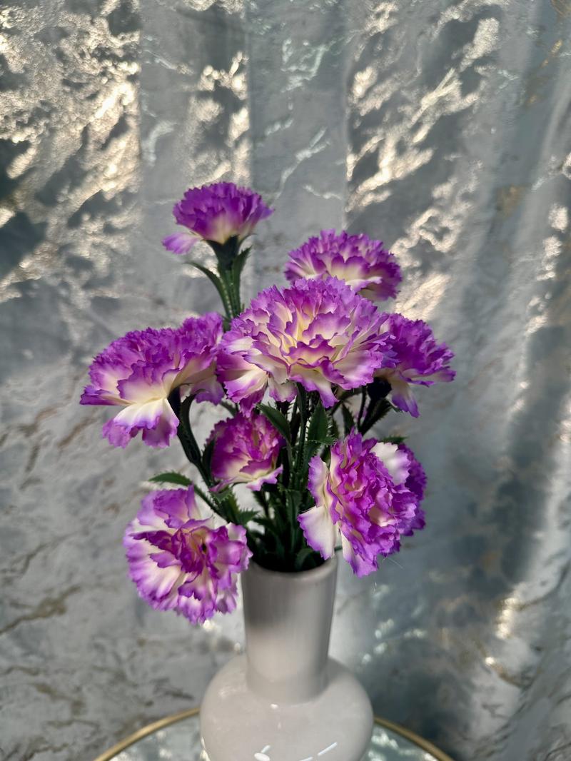 Zimowanie goździków