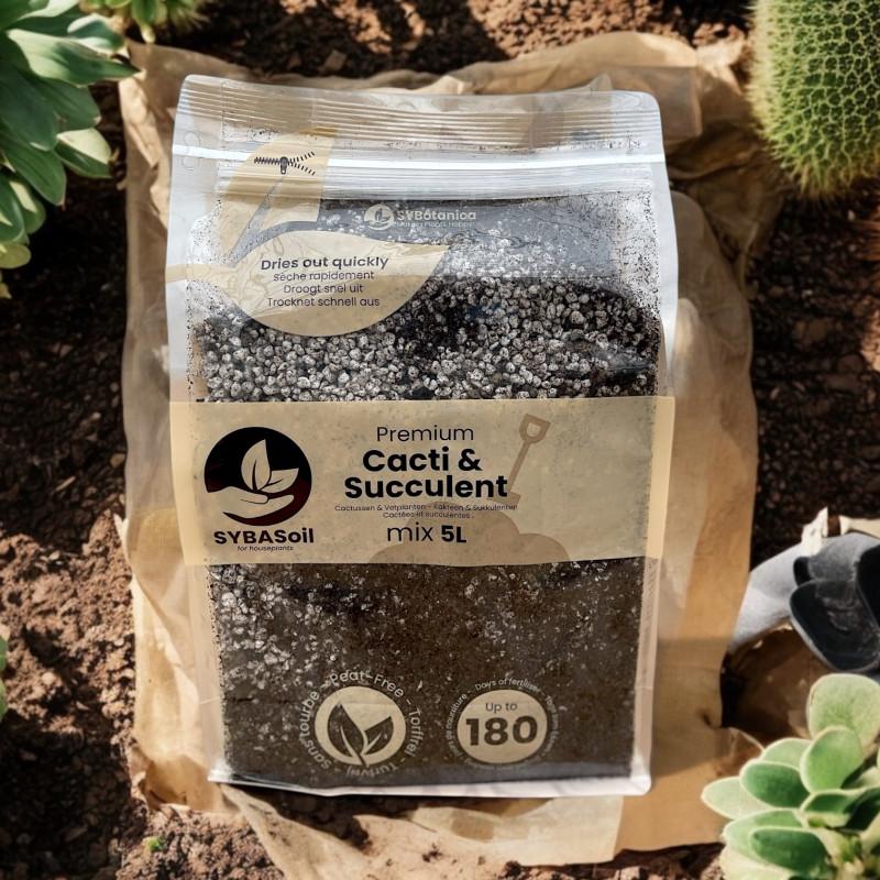 Sekret bujnego ogrodu: jak dobór podłoża do roślin wpływa na ich wzrost