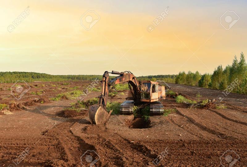 Narzędzia do podlewania drzew