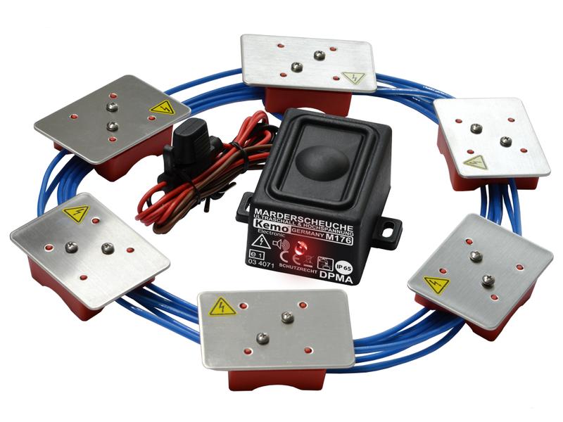 Odstraszanie kun z domu