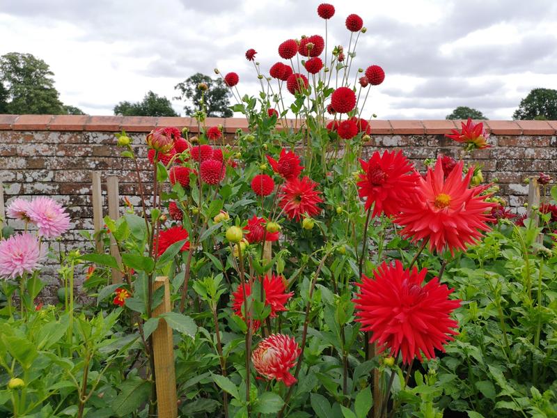 Ogrodnictwo nostalgiczne