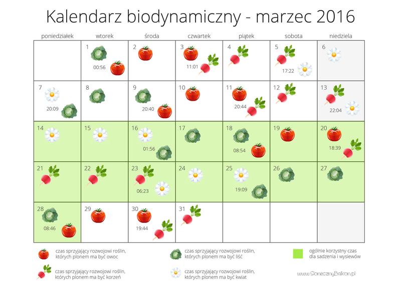 Planowanie prac ogrodowych