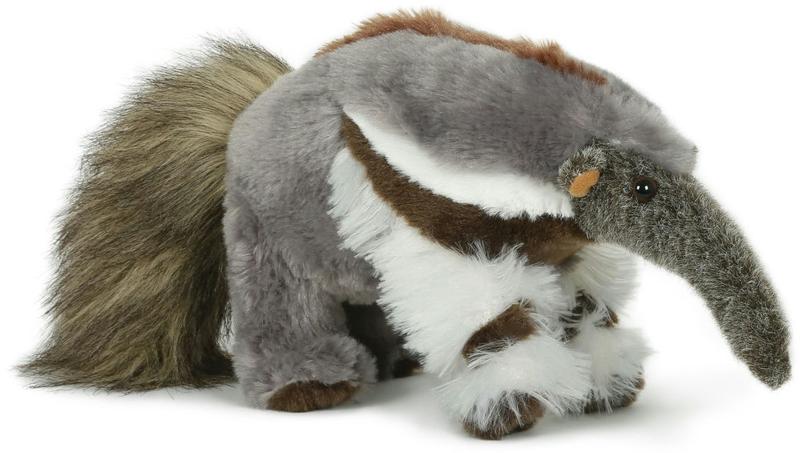 Ptaki polujące na mrówki