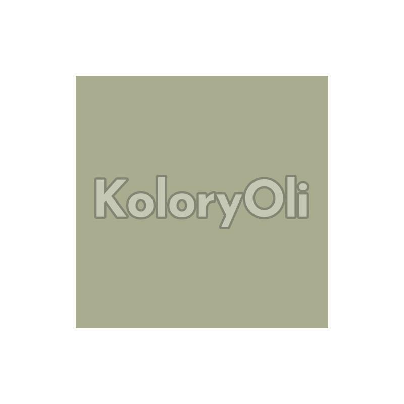 Trendy oliwkowa paleta