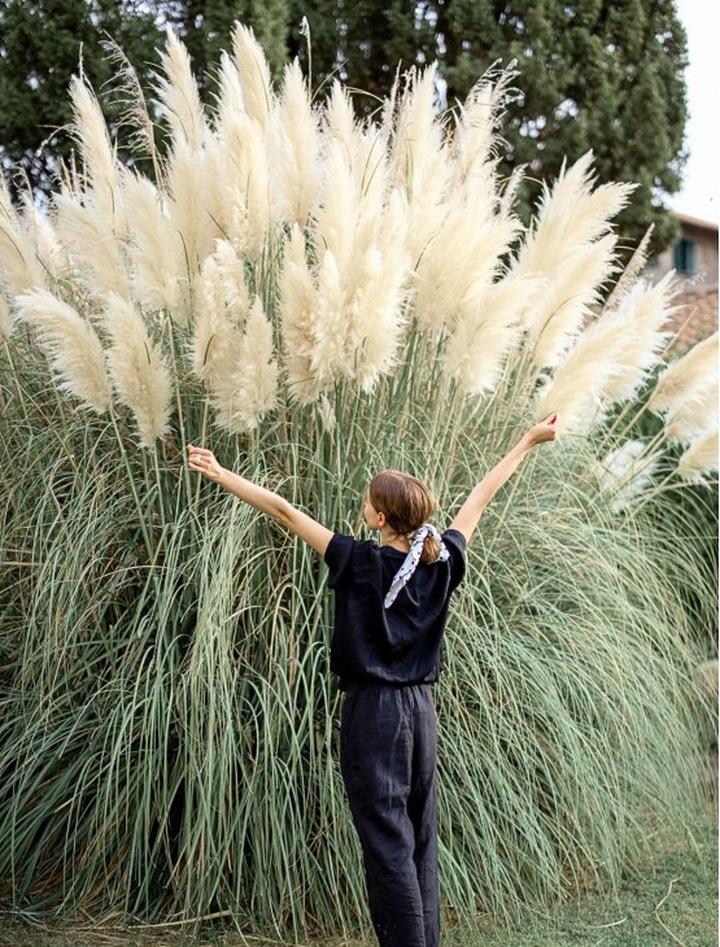 Kolorystyka i tekstura w ogrodzie