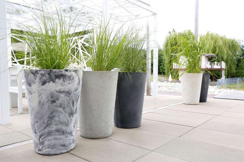 Pielęgnacja roślin w betonie