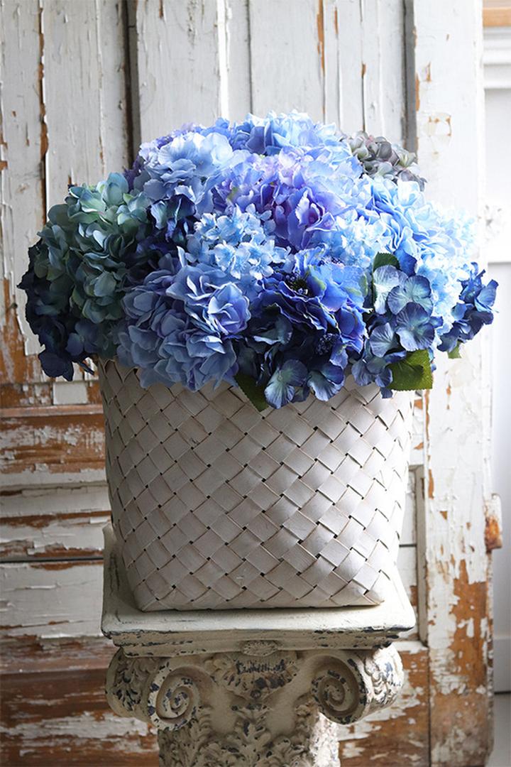 Przycinanie hortensji