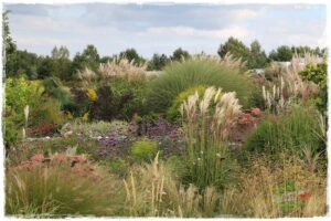 Jak stworzyć naturalistyczną przestrzeń wokół domu: praktyczne porady na aranżację ogrodu