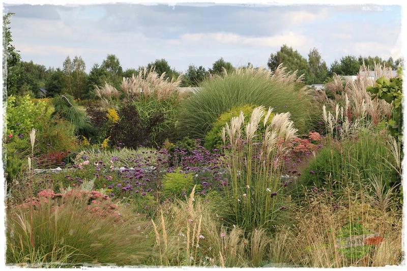Jak stworzyć naturalistyczną przestrzeń wokół domu: praktyczne porady na aranżację ogrodu