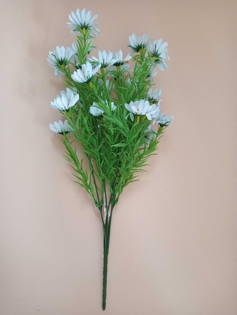 Margerytki w doniczce porady