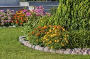 Jak stworzyć piękne klomby w ogrodzie, które zachwycą każdego?