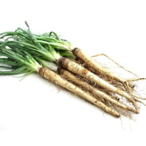 Salsefia: Jakie ma właściwości i jak skutecznie o nią dbać w uprawie?