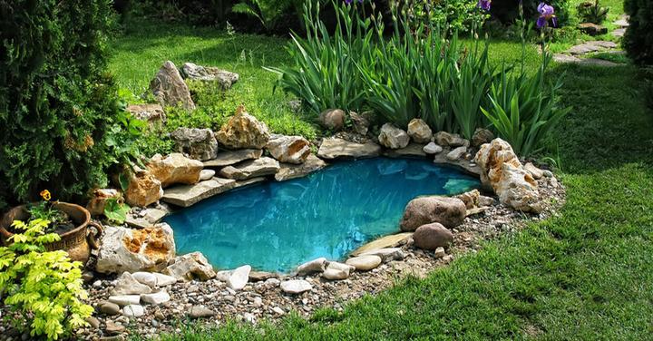 Dekoracje do mini oczka wodnego