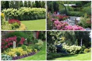 Jakie rośliny doskonale komponują się z hortensjami? Aranżacje ogrodowe z ich udziałem