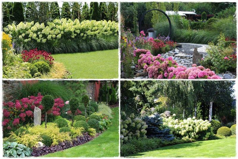 Jakie rośliny doskonale komponują się z hortensjami? Aranżacje ogrodowe z ich udziałem