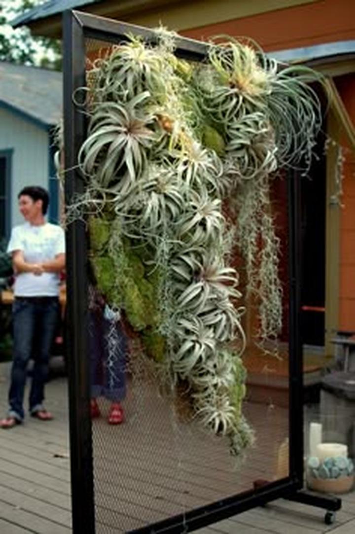 Adaptacje i przetrwanie roślin