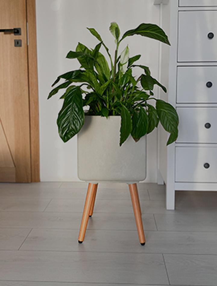 Doniczki DIY dla dzieci