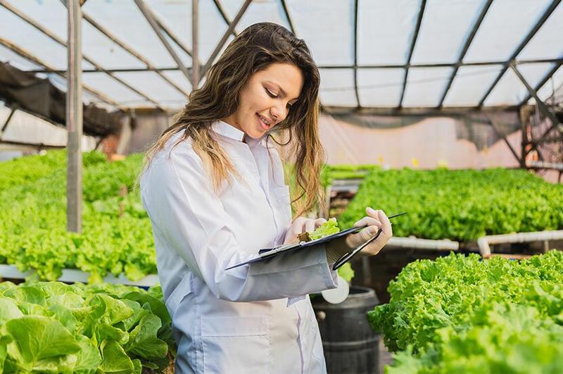 Tempo wysychania gleby