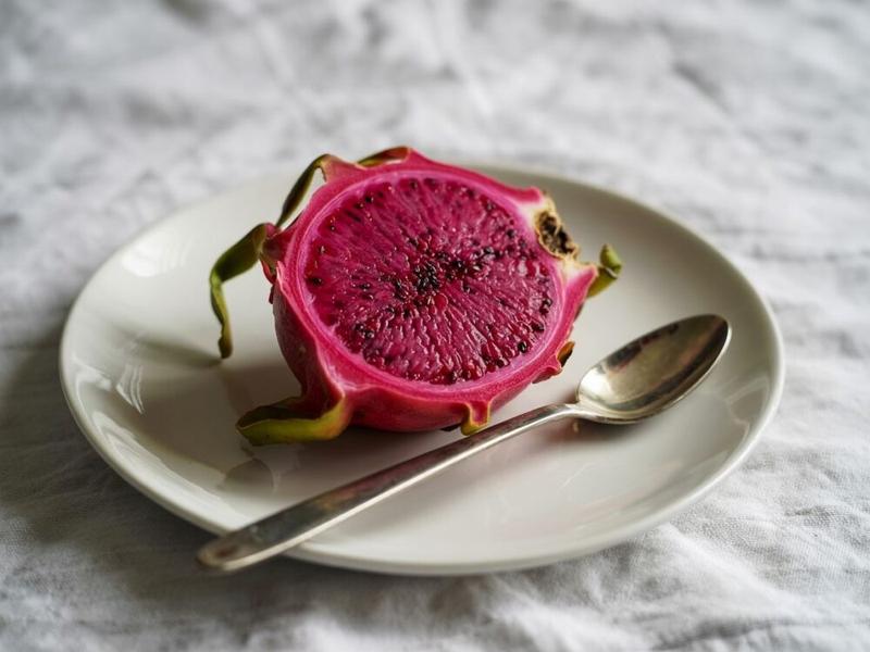 Warunki uprawy pitai: światło i temperatura