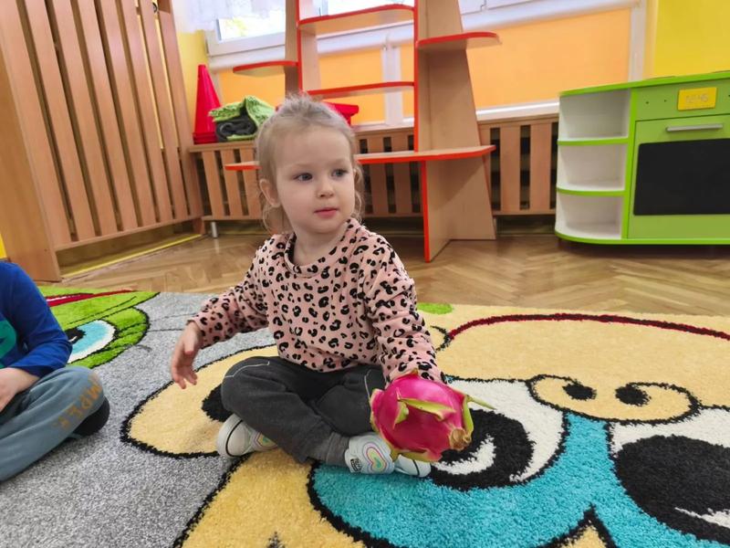 Jak skutecznie uprawiać pitaję, czyli smoczy owoc, w domowym zaciszu?