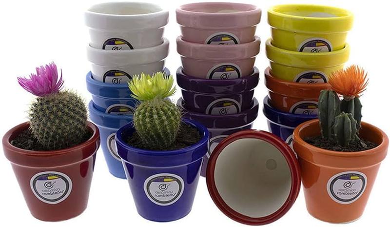 Kreatywne sposoby na to, jak ozdobić doniczki plastikowe – inspirujące pomysły na dekoracje