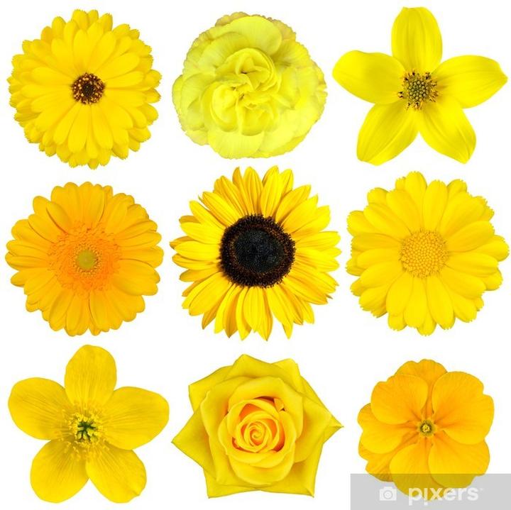 Dekoracje z żółtych kwiatów