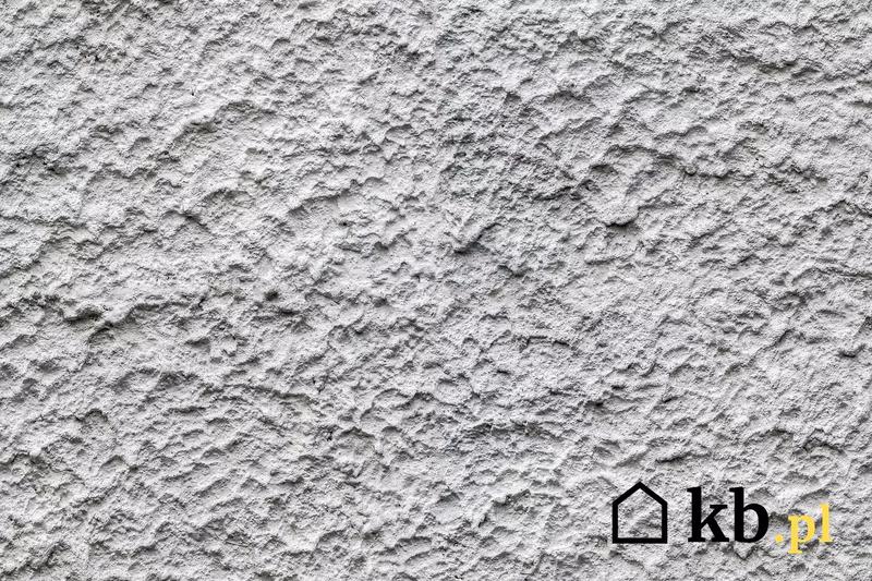 Farby do baranka i ścian