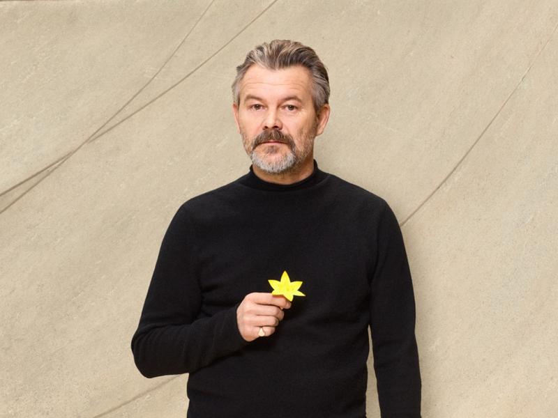 Kiedy sadzić cebulki zonkili