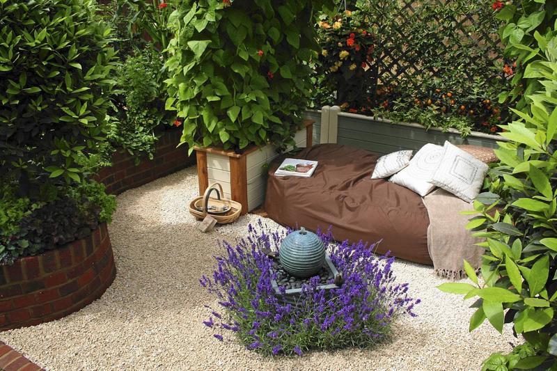 Rośliny towarzyszące lawendzie