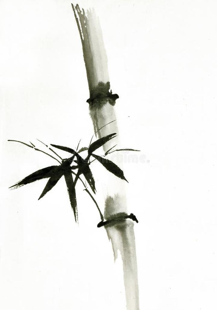 Techniki malowania bambusa