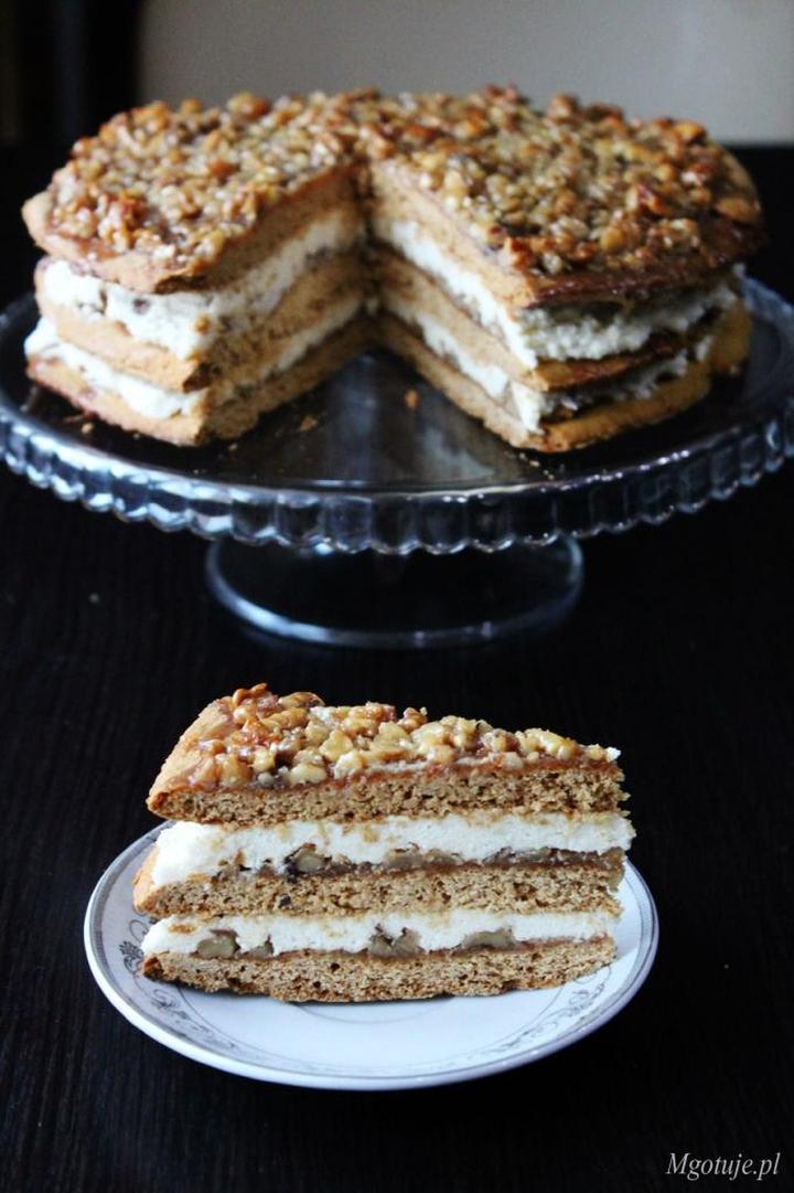 Występowanie i siedliska grzybów